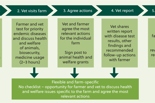 Figure 2. The process of applying for, completing and claiming the funding for the pathway visit.