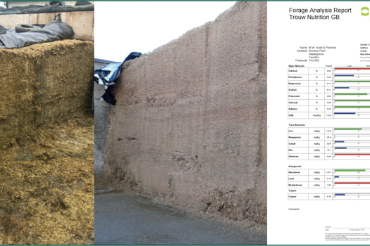 Figure 1. The potassium (K) of grass silage (left) is higher than cereal silages (middle) and is very difficult to predict. Mineral analysis (right) of grass silages intended for dry cows is very worthwhile.