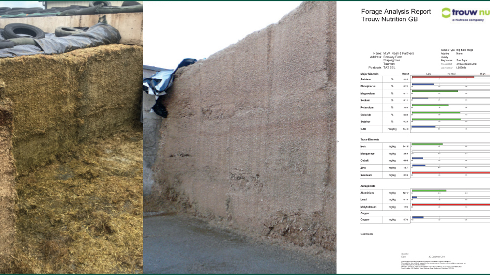 Figure 1. The potassium (K) of grass silage (left) is higher than cereal silages (middle) and is very difficult to predict. Mineral analysis (right) of grass silages intended for dry cows is very worthwhile.
