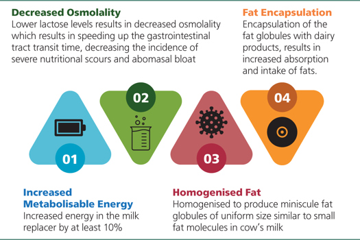 Figure 1. A summary of the benefits of energized calf milk replacer, in comparison to standard commercial milk replacer.