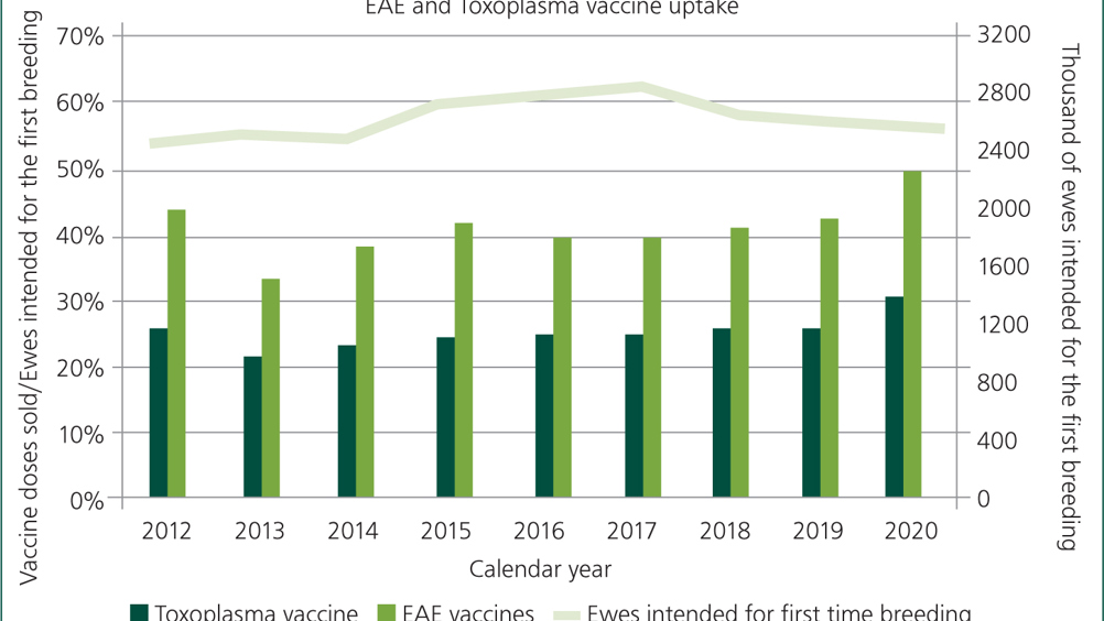 Figure 7. Agriculture and Horticulture Development Board (AHBD) estimates of rates of vaccination for ovine abortion. Courtesy of Kynetec, MSD and AHDB Vaccine Report.