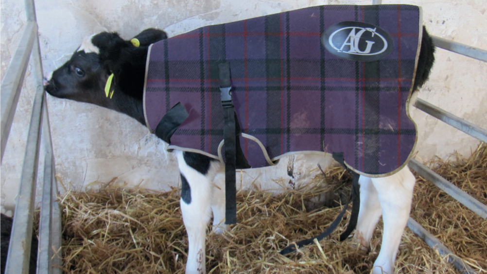 Figure 8. Design of size, straps and buckles is important.