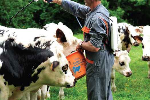 Figure 2. Ease of administration of a topical parasiticide