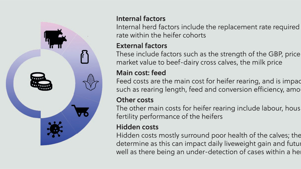Figure 2. An overview of the different factors impacting the cost of heifer rearing.